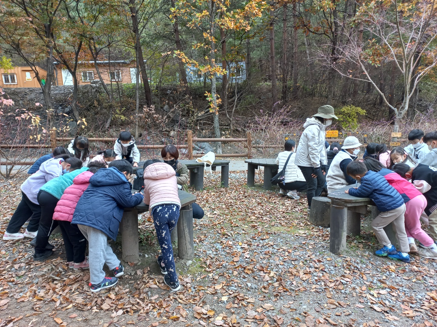 유아숲체험활동~~재미있게 잘 놀았습니다 이미지 2