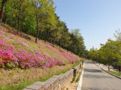 4월 솔향수목원의 풍경 이미지