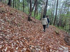 솔향수목원의 숨은 명품길 ~~ 이미지