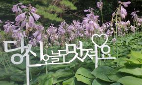 7월 솔향수목원의 풍경_첫번째 이미지