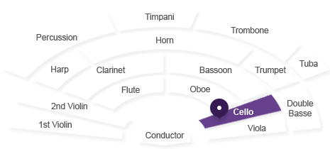 첼로 위치 : 지휘자 기준 가장 오른쪽에서 2번째에 있습니다.