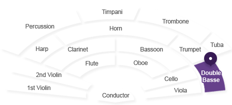 더블베이스 위치 : 지휘자 기준 가장 오른쪽 첼로와 비올라 뒤에 있습니다.