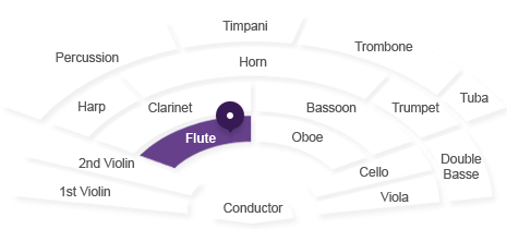 플루트 위치 : 지휘자 기준 바로 앞에 있습니다.
