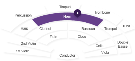 호른 위치 : 지휘자 기준 클라리넷과 바순 뒤 중앙에 있습니다.