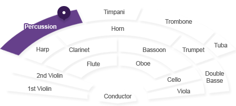 타악기 위치 : 지휘자 기준 호른 뒤 중앙에 있습니다.