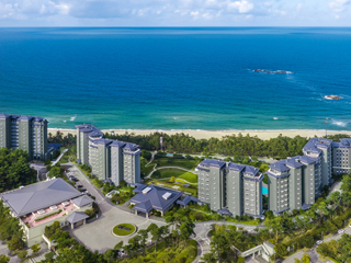 라카이샌드파인 사진01