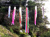 일본의 단오 이미지