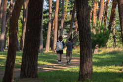 ホ·ギュン、ホ·ナンソルホン 記念公園