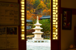 テンプルステイ