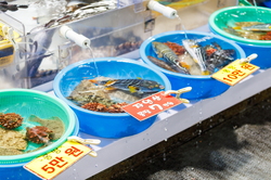 注文津水産市場