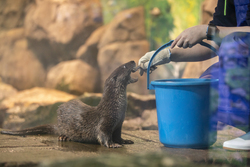 鏡浦アクアリウム