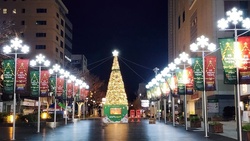 2024江陵クリスマス冬祭り