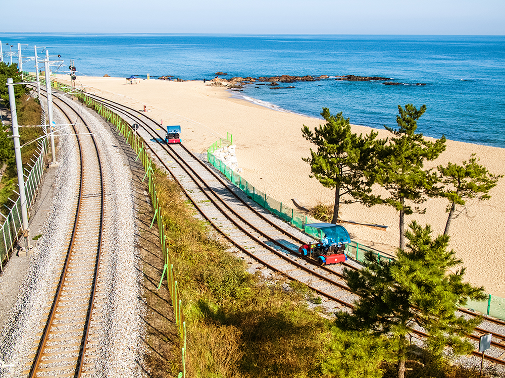 正东津铁轨自行车E 02